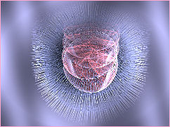 APOPHYSIS