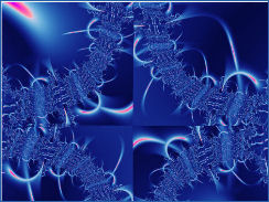 FRACTAL